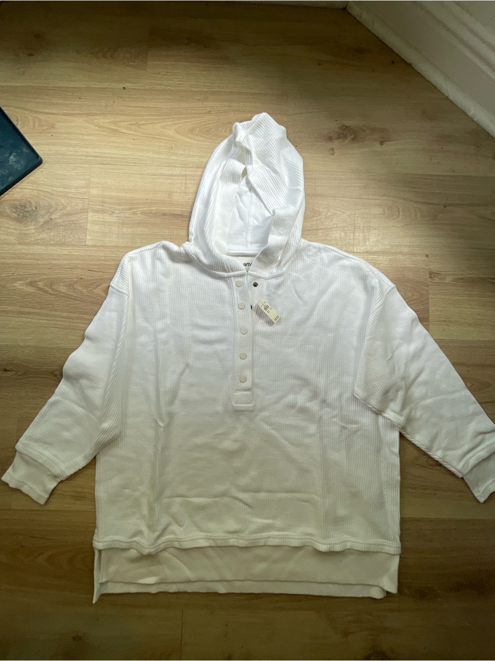 BNWT aerie oversize hoodie
